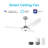 Braylynn 52'' Ceiling Fan with LED Lights-214131027