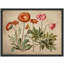«Red Pink Wildflowers-101825457-101825459