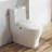 Elongated Toilet Seat and Lid