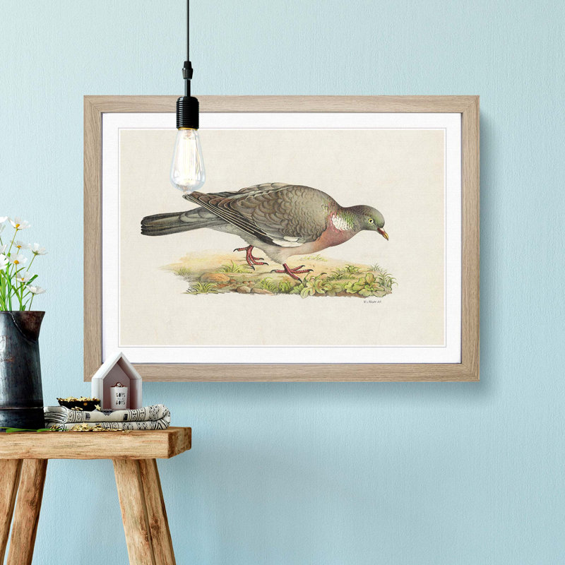Common Wood Pigeon by Von Wright - Picture Frame Painting Print on MDF, 36cm H x 48cm W x 2cm D, Oak Framed