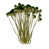 Vert foncé sélectionné