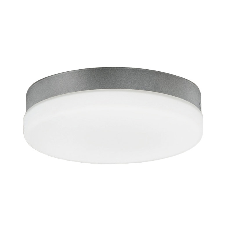 Ventilateur de plafond à DEL 1 lumière Aviator, Graphite