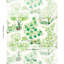 Citrus Garden Indoor/Outdoor Fabric-69581485