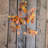 Maple Leaf Arrangement-306600487