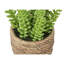 Plante artificielle