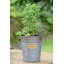 Cassandra Metal Cachepot-1498143597