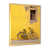 Gold Single Picture Framed