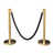 Gold/Black selected