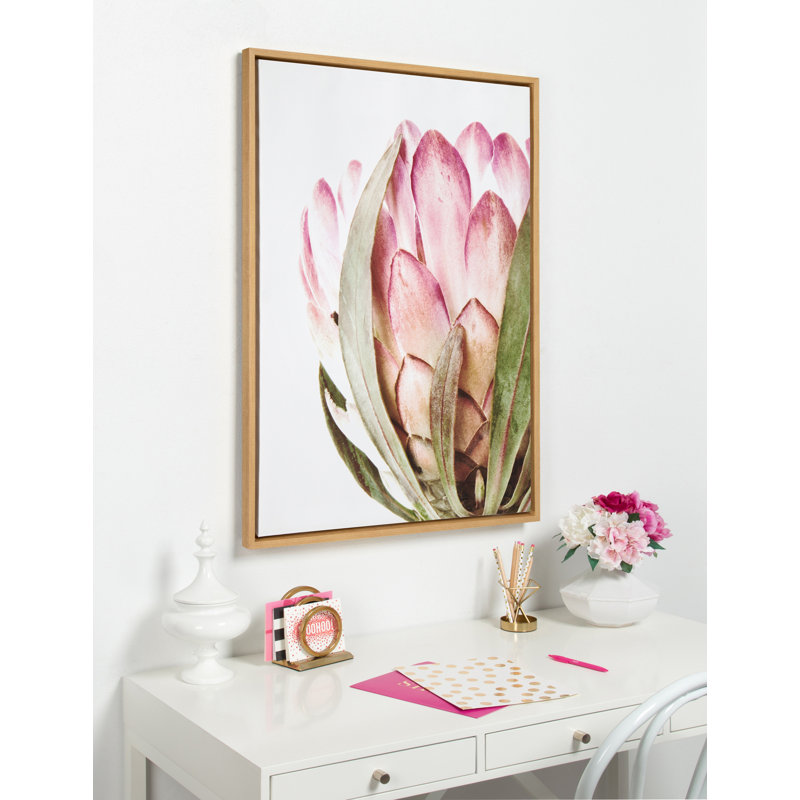 «Pink Protea Flower» par Amy Peterson, reproduction d'art sur toile encadrée, H 38 po x l 28 po, Naturel