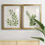 «Botanical Wash I», ensemble de 2 reproductions d'art sur toiles-455244318-455244319-455244312