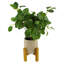 40cm Faux Tree in Pot Liner