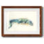 Alligator, impression sur toile encadrée-1907597780