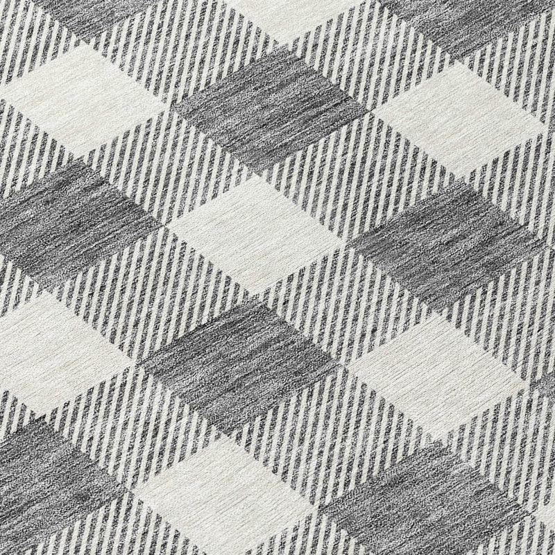 Colzie Gingham Indoor / Outdoor Rug, Runner 2'3" x 7'6"