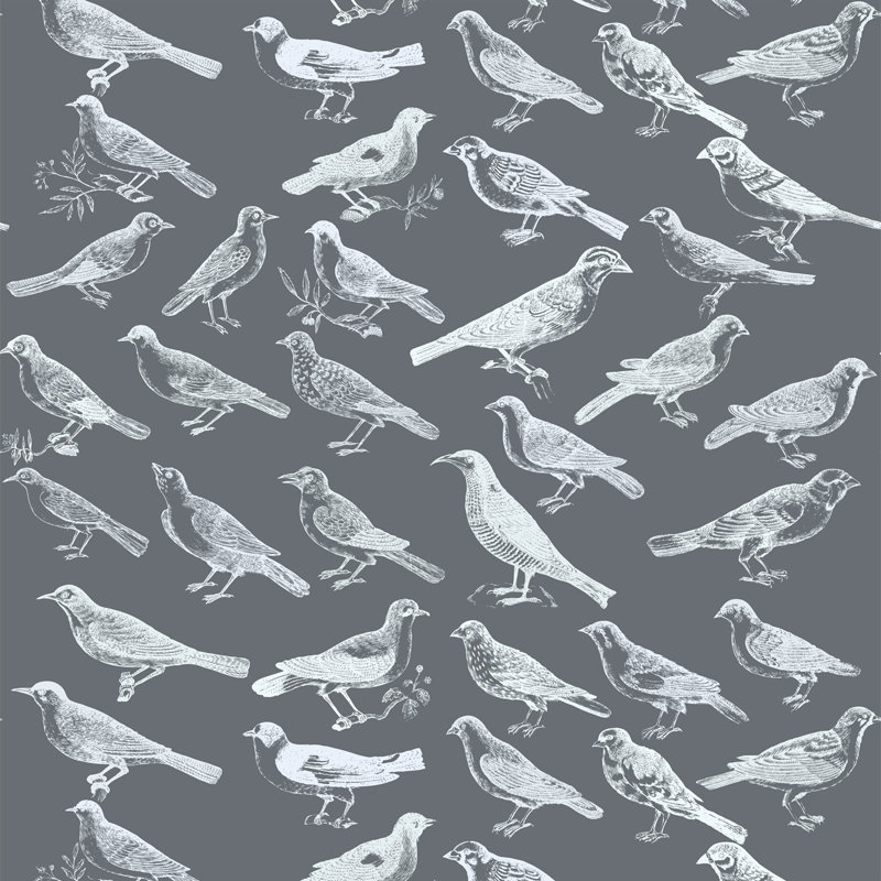 The Signature Tweeter 10' L x 24" W Wallpaper Tile, Gray, PVC, Self-adhesive
