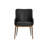 Beatriz 19.5'' H Upholstered Armchair - Black-274232301-274232302