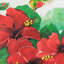 Housse de coussin décoratif en chenille 18 po x 18 po rouge
