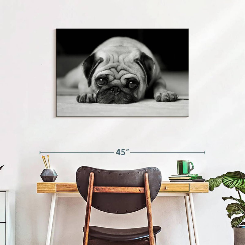 Brampt Sad Pug, 24" H x 36" W