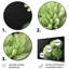 «Green Monochrom Mums Flowers Bouquet II», reproduction d'art mural-1768051545-1768051550