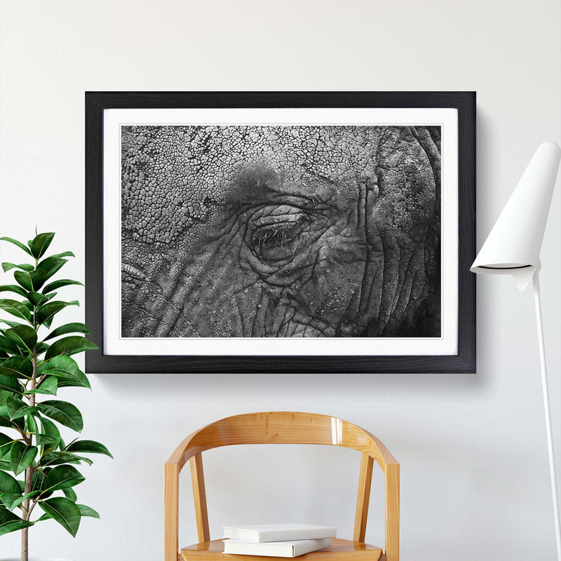 Elephant - Picture Frame Graphic Art Print, Black Framed, 36cm H x 48cm W x 2cm D