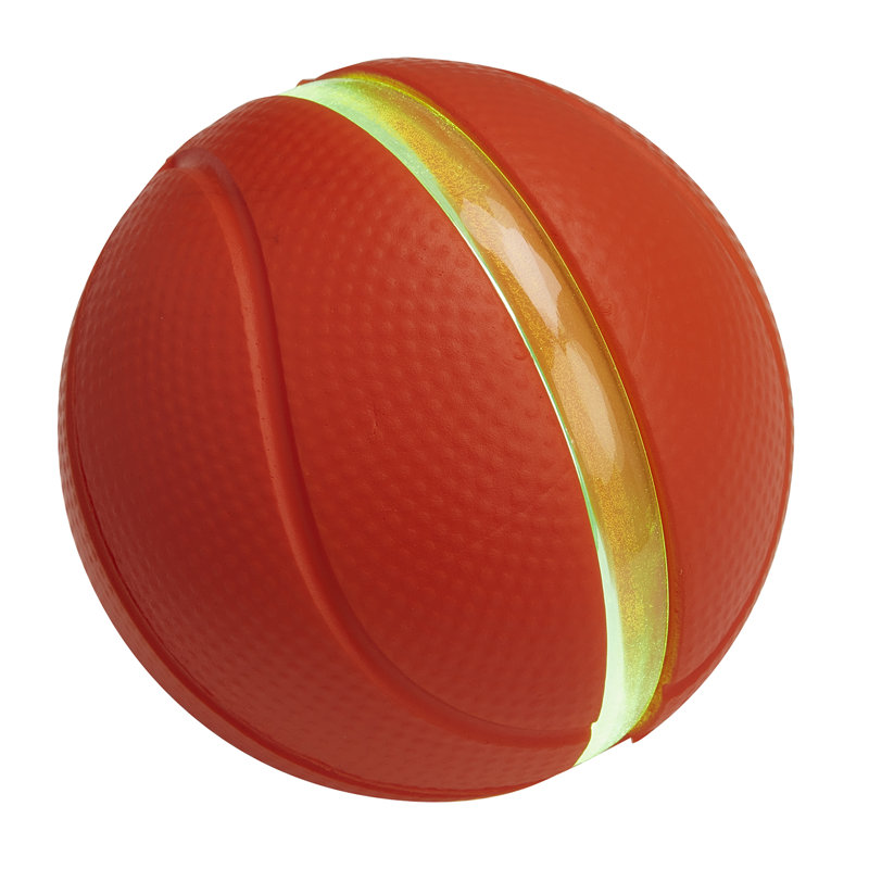 Panier de basketball 26 po