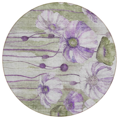  Emblyn Area Rug