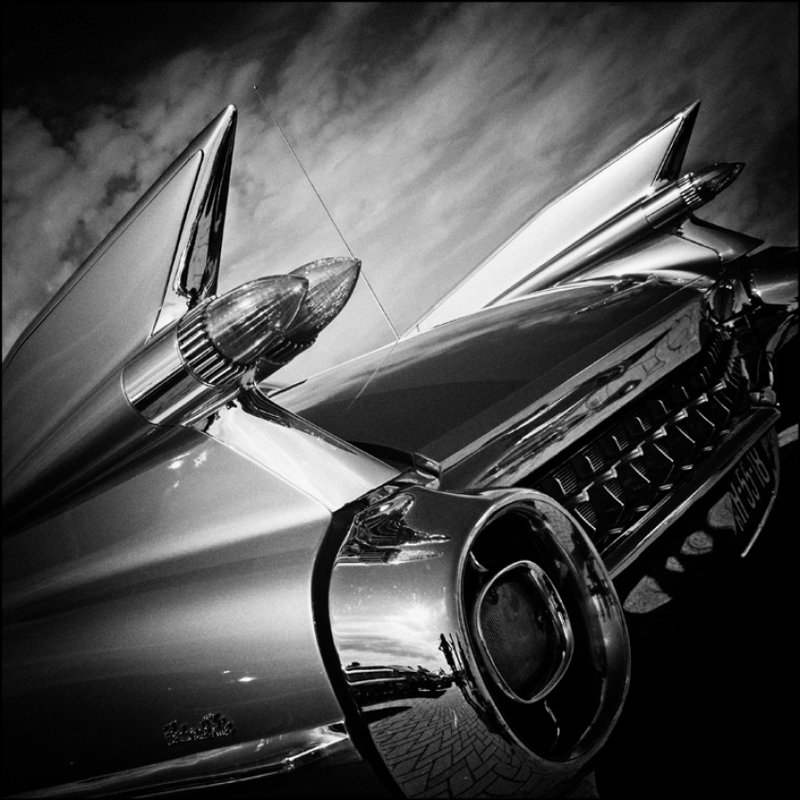 Wrapped Canvas Print, 50.8 cm H x 50.8 cm W