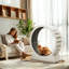 Cat Perch-102423117-102834098