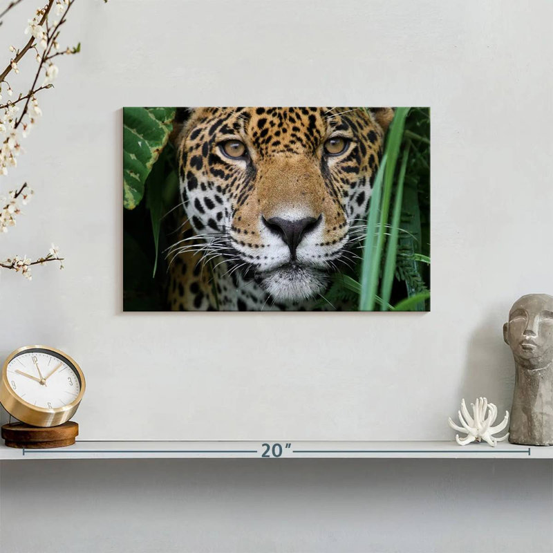 Brampt Amazon Jungle Jaguar, 8" H x 12" W