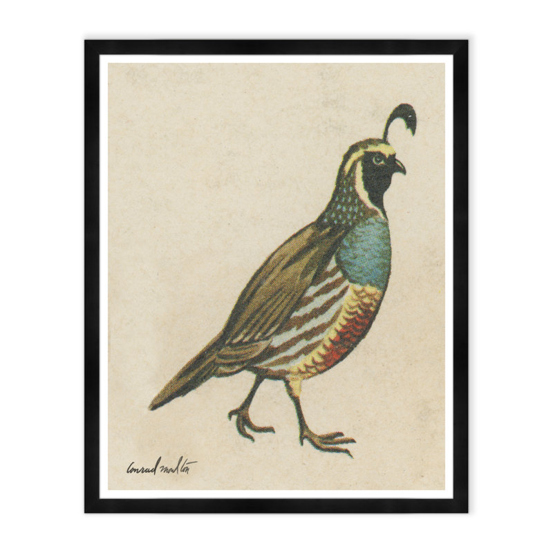 Quail Print