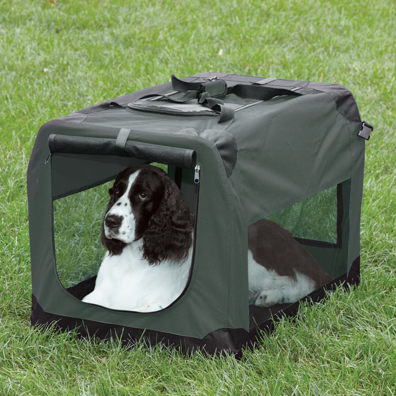 Cage pour animaux Romer, Moyen