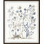 Botanic Birds 1 Print