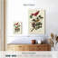 Oiseau rouge Brampt-108486135