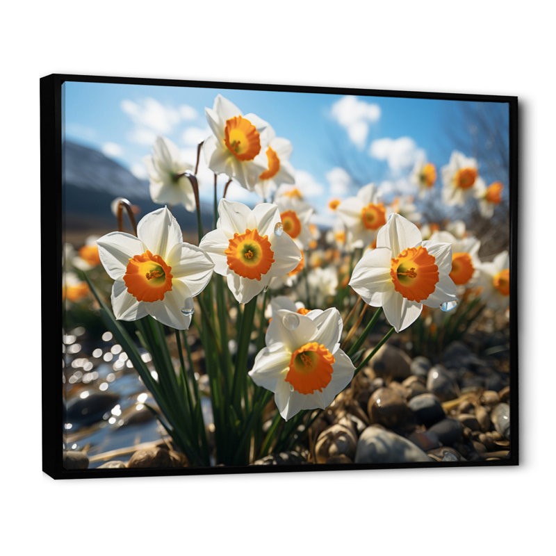 Daffodils Field Sunset III - Floral Canvas Art Print, H 30 po x l 40 po, Cadre flottant noir