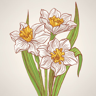 Addaley " Spring Narcissus Bouquet " by Melazerg