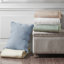 Courtepointe double / grand lit 3 pièces, décoration festive réversible, matériau en microfibre, rembourrage 90% coton, lavable à la machine, charme rustique, texture, délavé, style champêtre