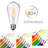 4 Watt 40 Watt Equivalent ST64 LED Dimmable Light Bulb Dimmable Light Bulb Color Temperature E26/Medium(Standard) Base