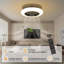 Lamprecht Ceiling Fan with LED Lights