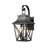 Sage Outdoor 2-Light Wall Lantern with Glass