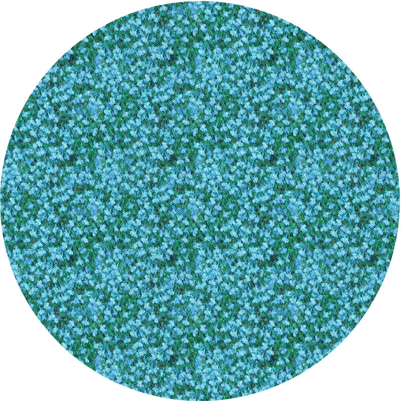 Tapis 100% lavable à la machine à motif 2989 - Pat1848-LBL, Rond 8 pi