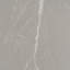 Grand carreau de mur et de plancher en porcelaine mate d'aspect marbre gris cendré 24 po x 48 po Regalia (paquet de 2 de 15,5 pieds carrés / caisse)-123158997