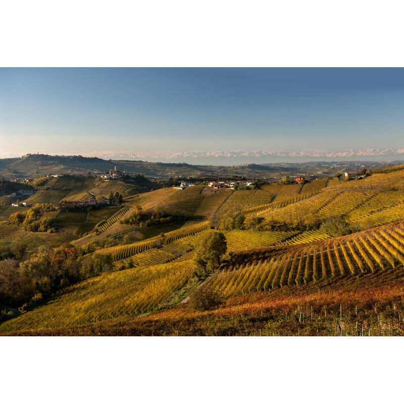 Vineyards In Autumn by DarioEgidi - No Frame Print on Canvas, 51cm H x 76cm W