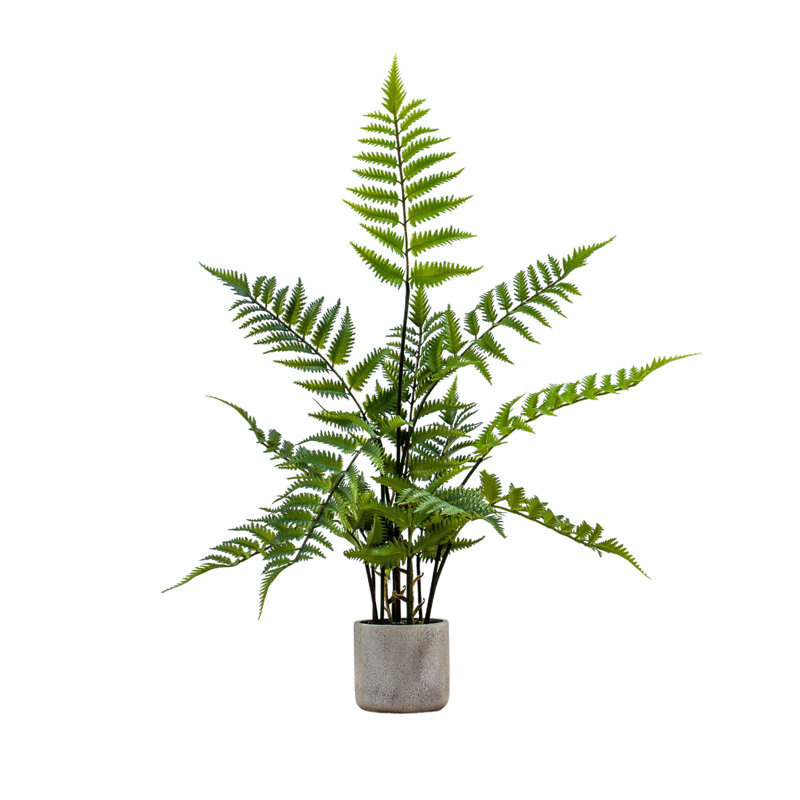 71cm Faux Fern Plant in Cement Pot
