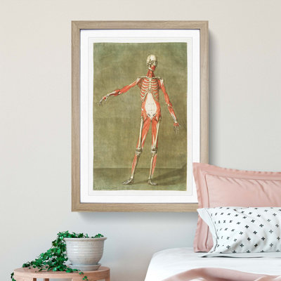 Anatomical Illustration of a Male No. 3 by Gautier-Dagoty - Picture Frame Painting Print