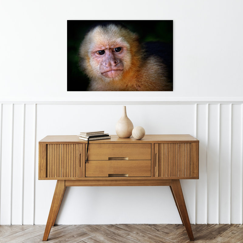 Curious Capuchin Gaze Abstract Monkey Forest Landscape Wall Art Print by Jimmy Hoffman - Print, 30.48cm H x 45.72cm W
