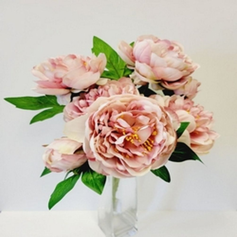 Pivoine, Rose