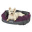 Levesque Polyester Pet Bed-2017371966-2017371963