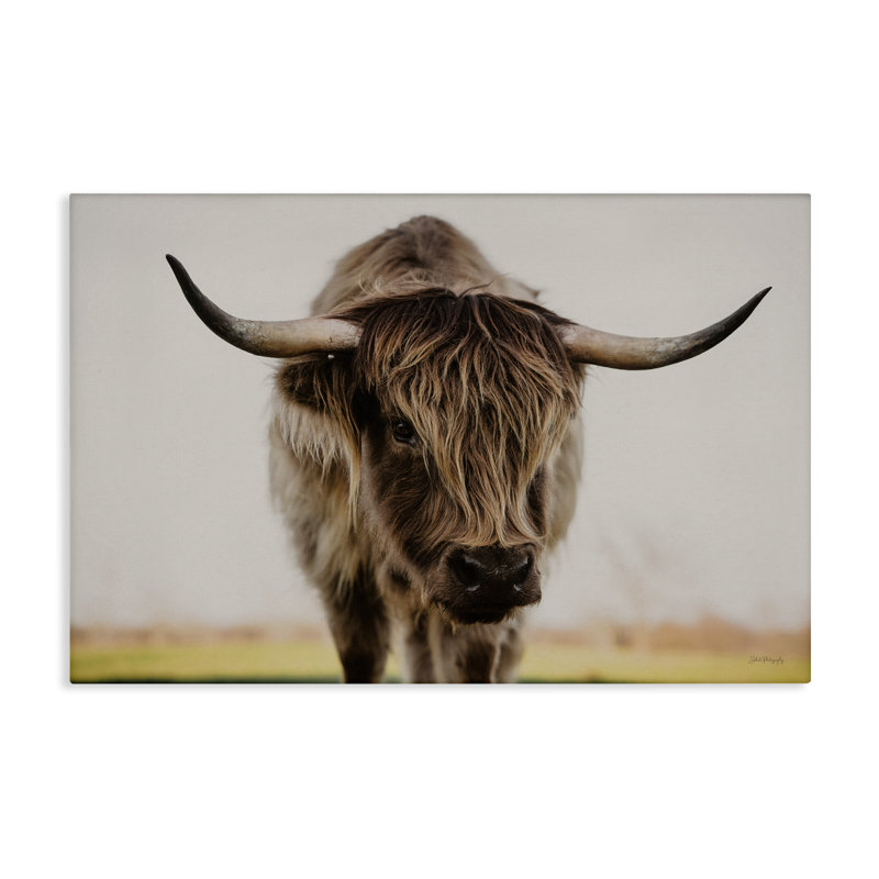 Art mural sur toile Longhorn avec regard perçant, design par Dakota Diener, H 20 po x l 30 po