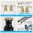 Topcraft 2-Handle Widespread Bathroom Faucet with Drain Assembly-78407747