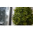 Artificial Cypress Topiary Tree
