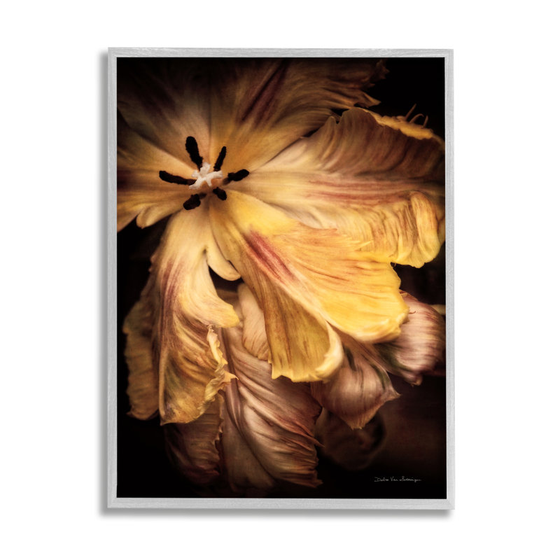 Hibiscus par Debra Van Swearingen, H 14 po x l 11 po x P 1,5 po, Estampe numérique Farmhouse